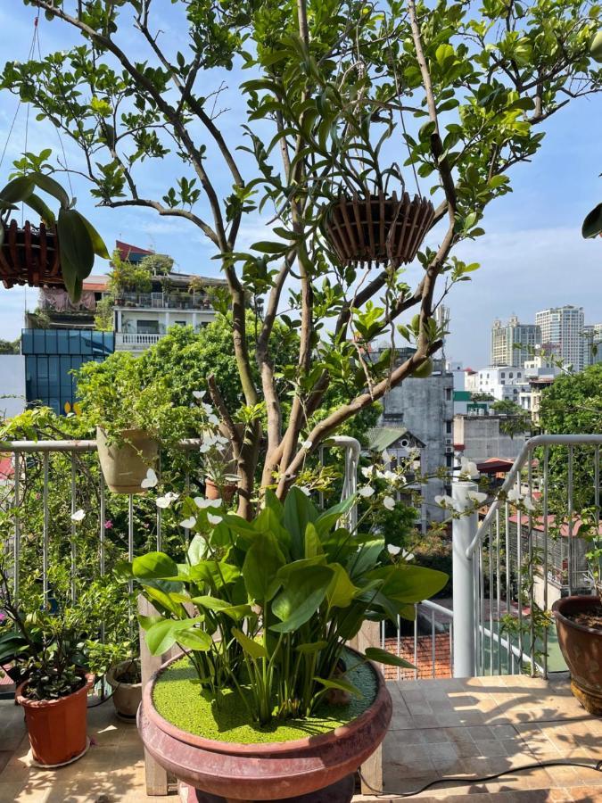 May Residence-800M From Opera House Hanoi Esterno foto