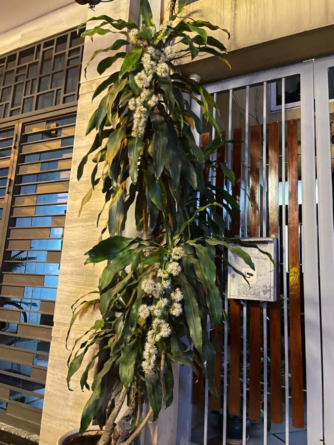 May Residence-800M From Opera House Hanoi Esterno foto
