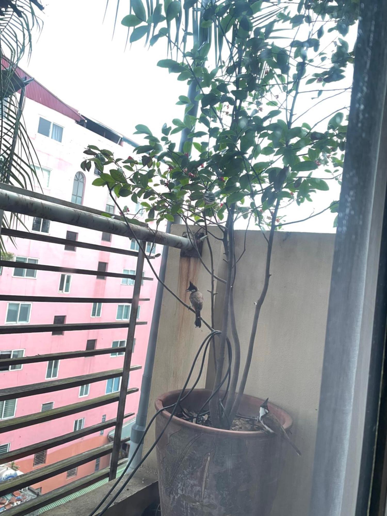May Residence-800M From Opera House Hanoi Esterno foto